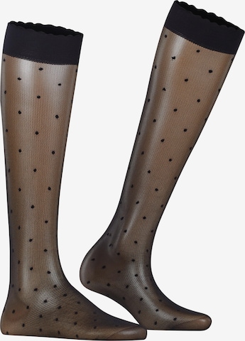 FALKE Over the Knee Socks 'Dot' in Black: front