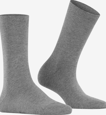 FALKE Socks 'Family' in Mixed colors: front
