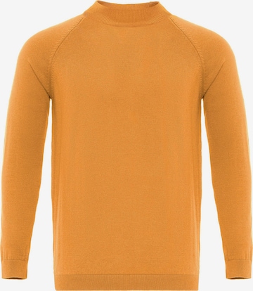 oranžinė Dandalo Megztinis: priekis