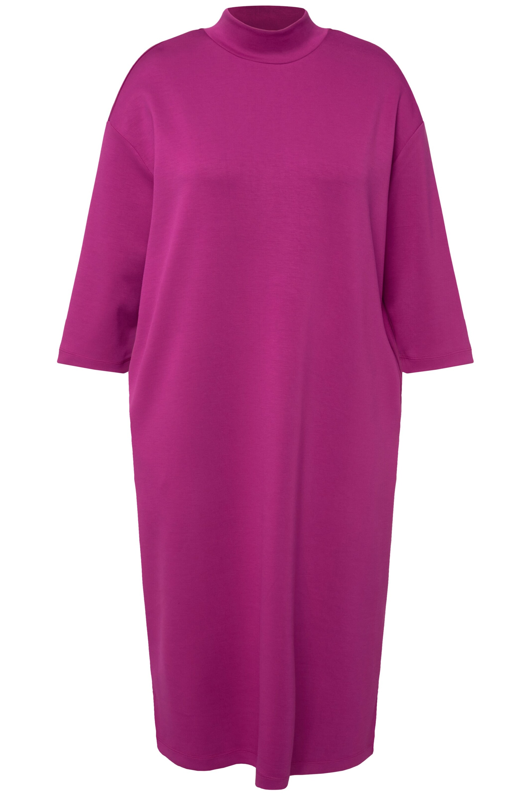 Ulla Popken Dress in Purple: front