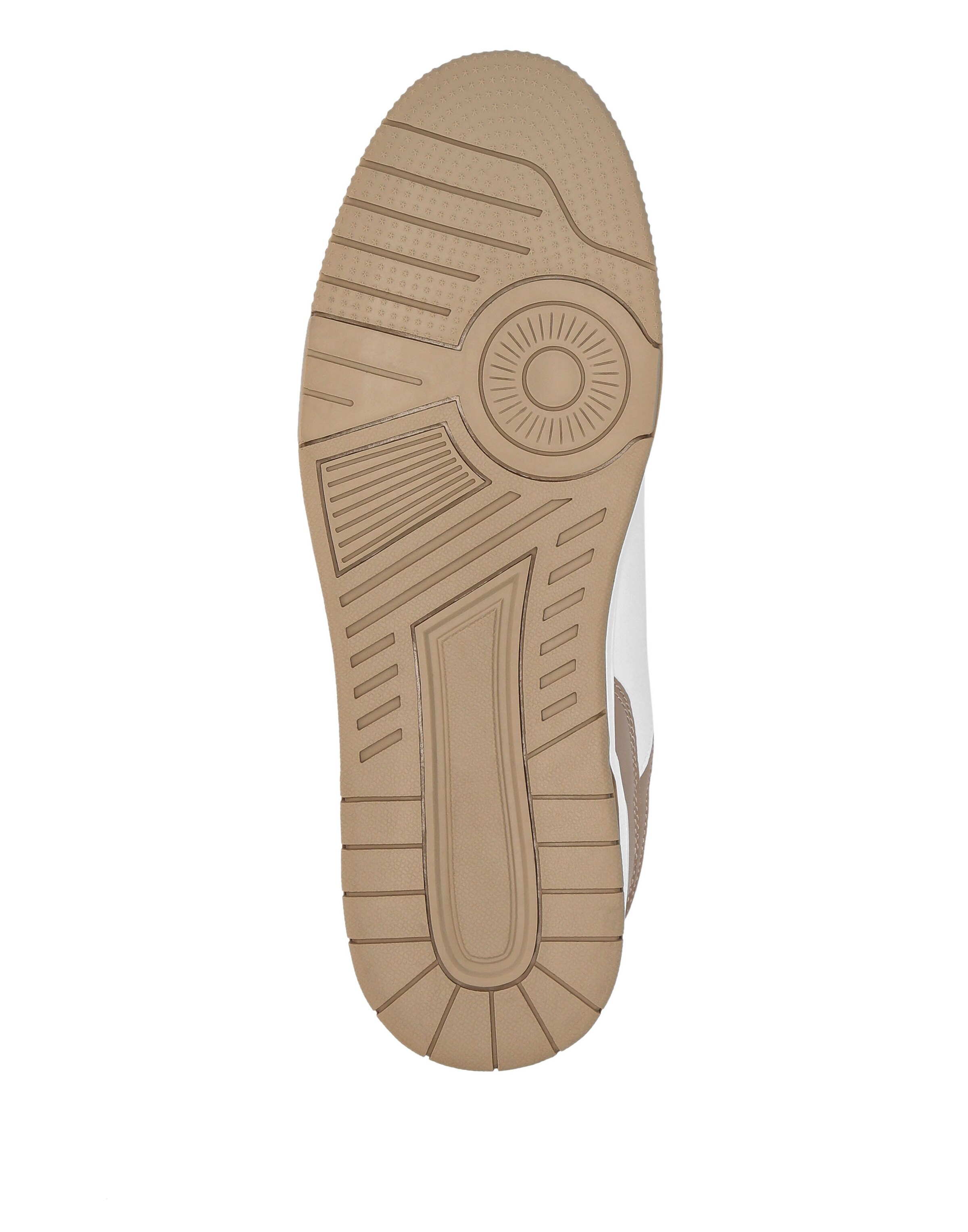 Sneaker bassa di Plein Sport in marrone