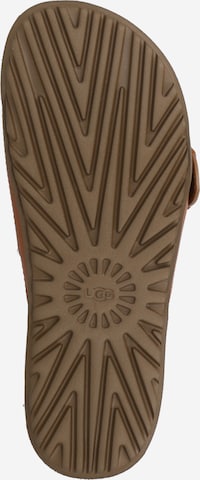 Zoccoletto di UGG in marrone