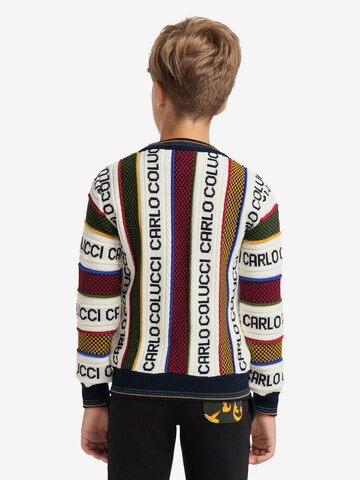 Carlo Colucci Sweater 'Casale' in Mixed colors