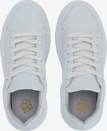 Baskets basses ' SAMIR ' Apple of Eden en blanc