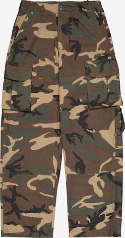 mišri ALPHA INDUSTRIES Standartinis Laisvo stiliaus kelnės: priekis