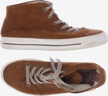 Paul Green Sneakers & Trainers in 40,5 in Brown: front