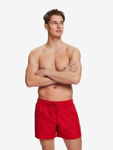 ESPRIT Badeshorts in Rot