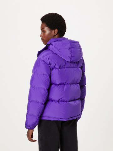 purpurinė Tommy Jeans Žieminė striukė 'Alaska'