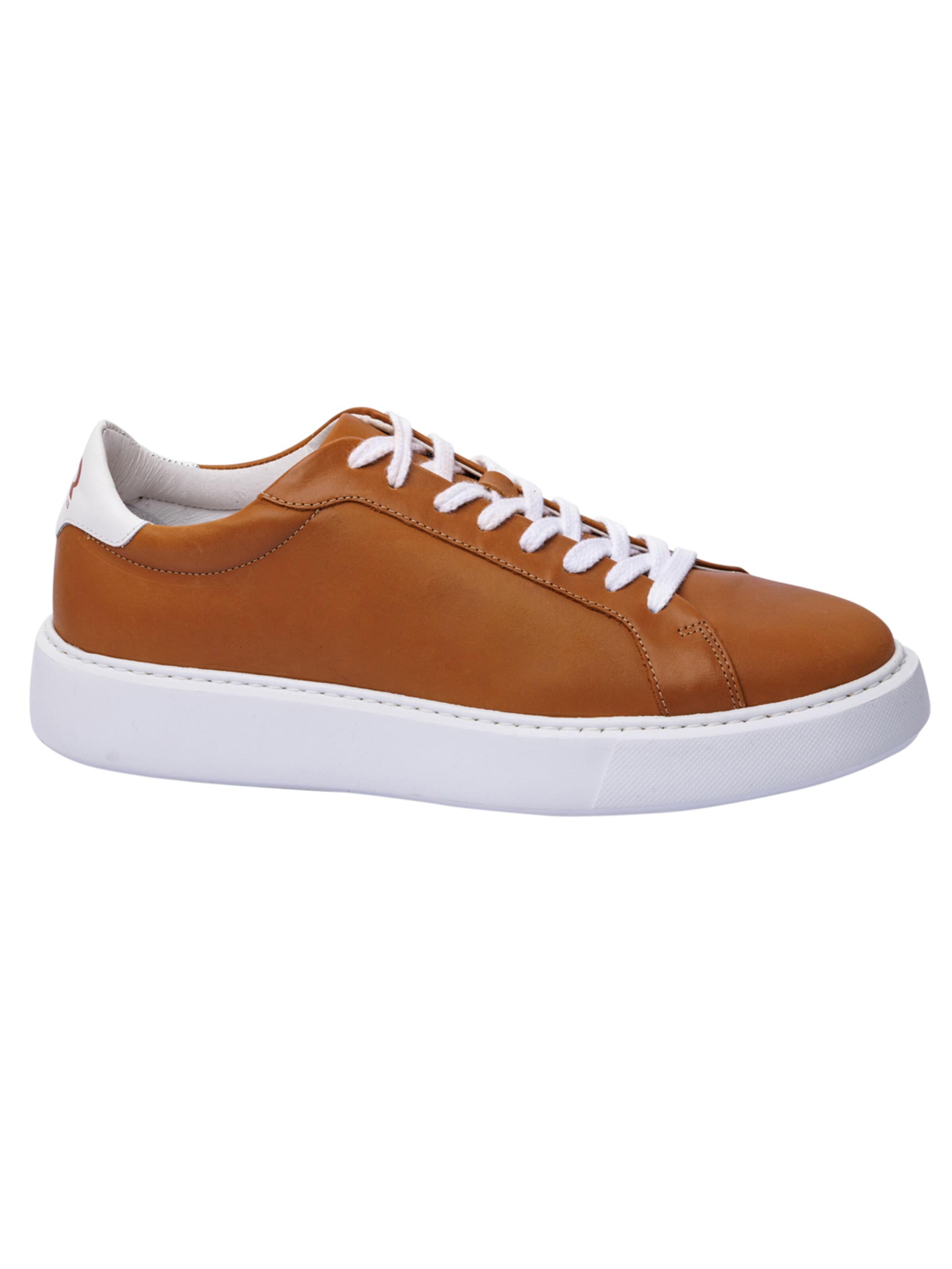 Club Shoes Relics Sneakersy niskie 'Coach Collection Camel' w kolorze brązowy