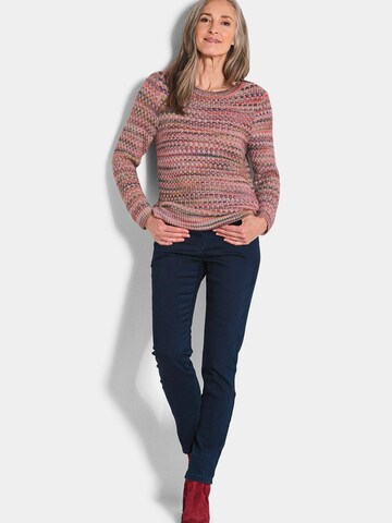 Goldner Sweater in Mixed colours