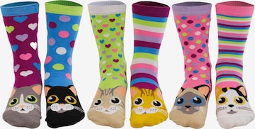 United Odd Socks Sokken in Gemengde kleuren: voorkant