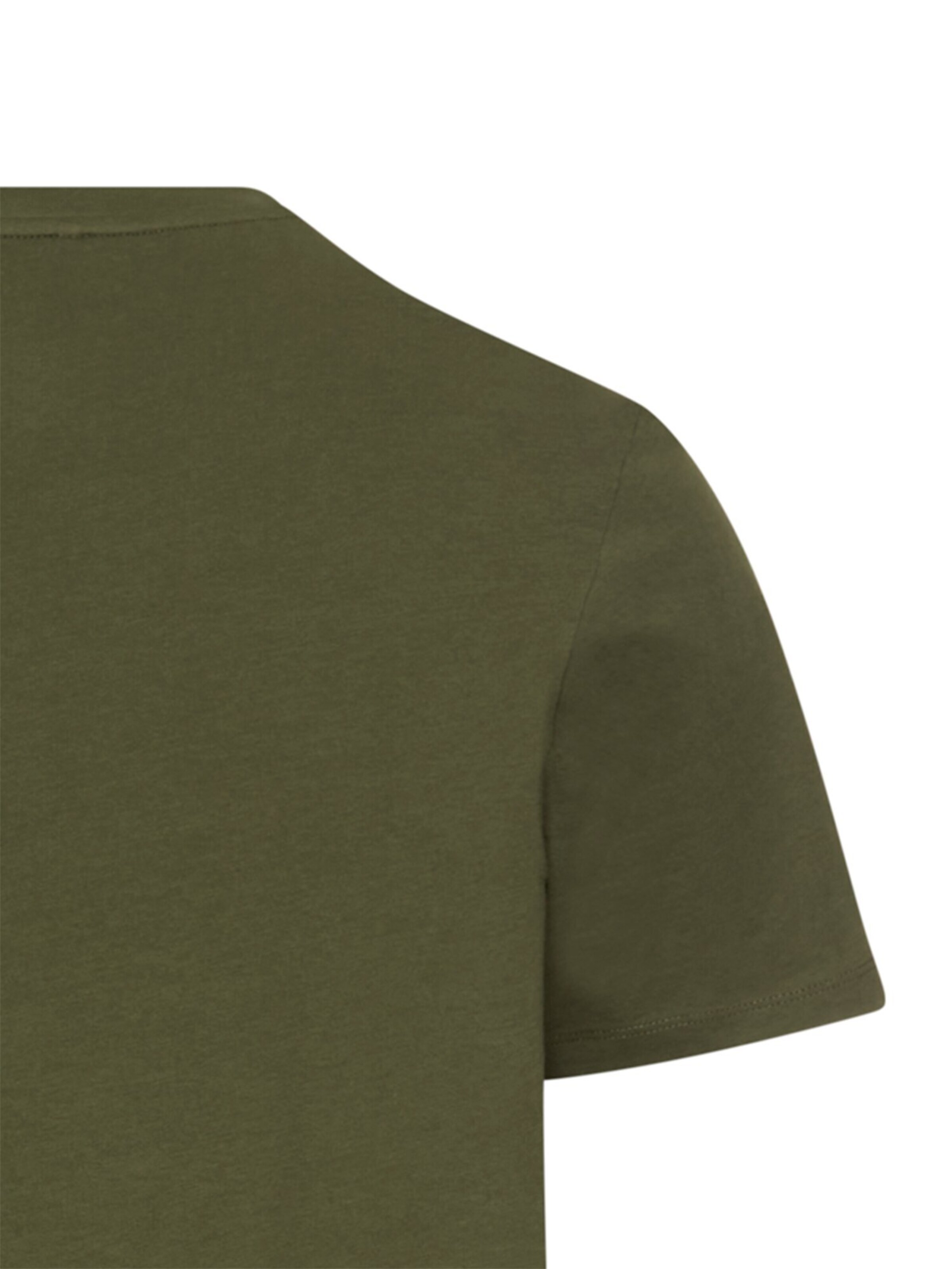 CAMEL ACTIVE Shirt in Green