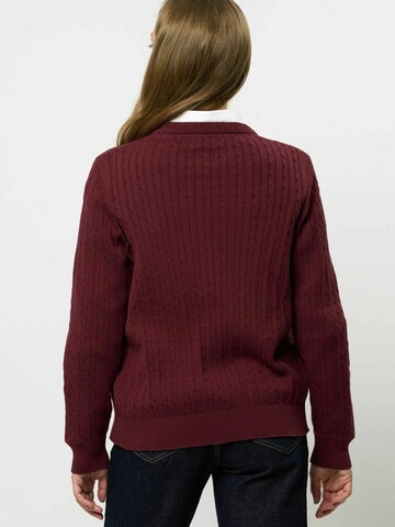 U.S. POLO ASSN. Pullover 'Gill' in Rot