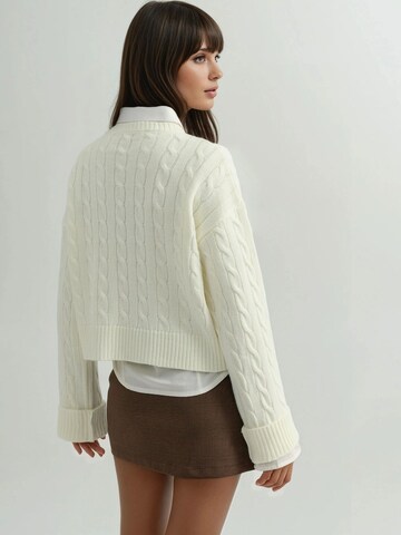 Hiccup Pullover in Beige