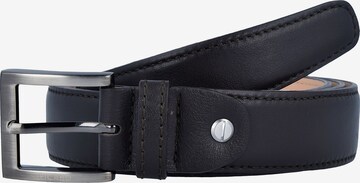 Picard Belt in Brown