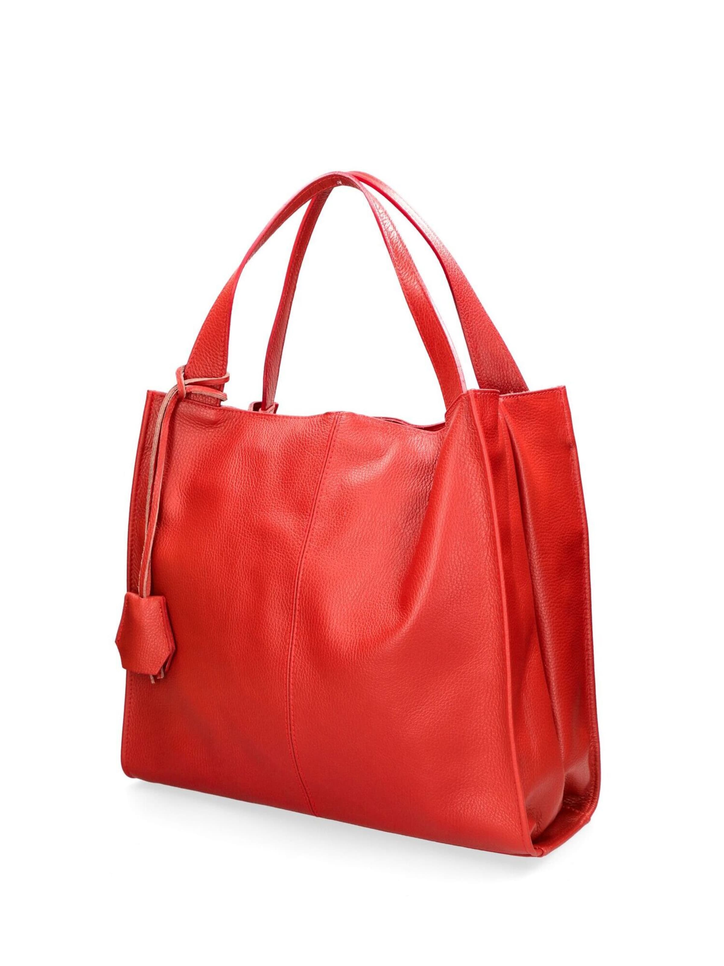 CHICCA BORSE Handbag in Red