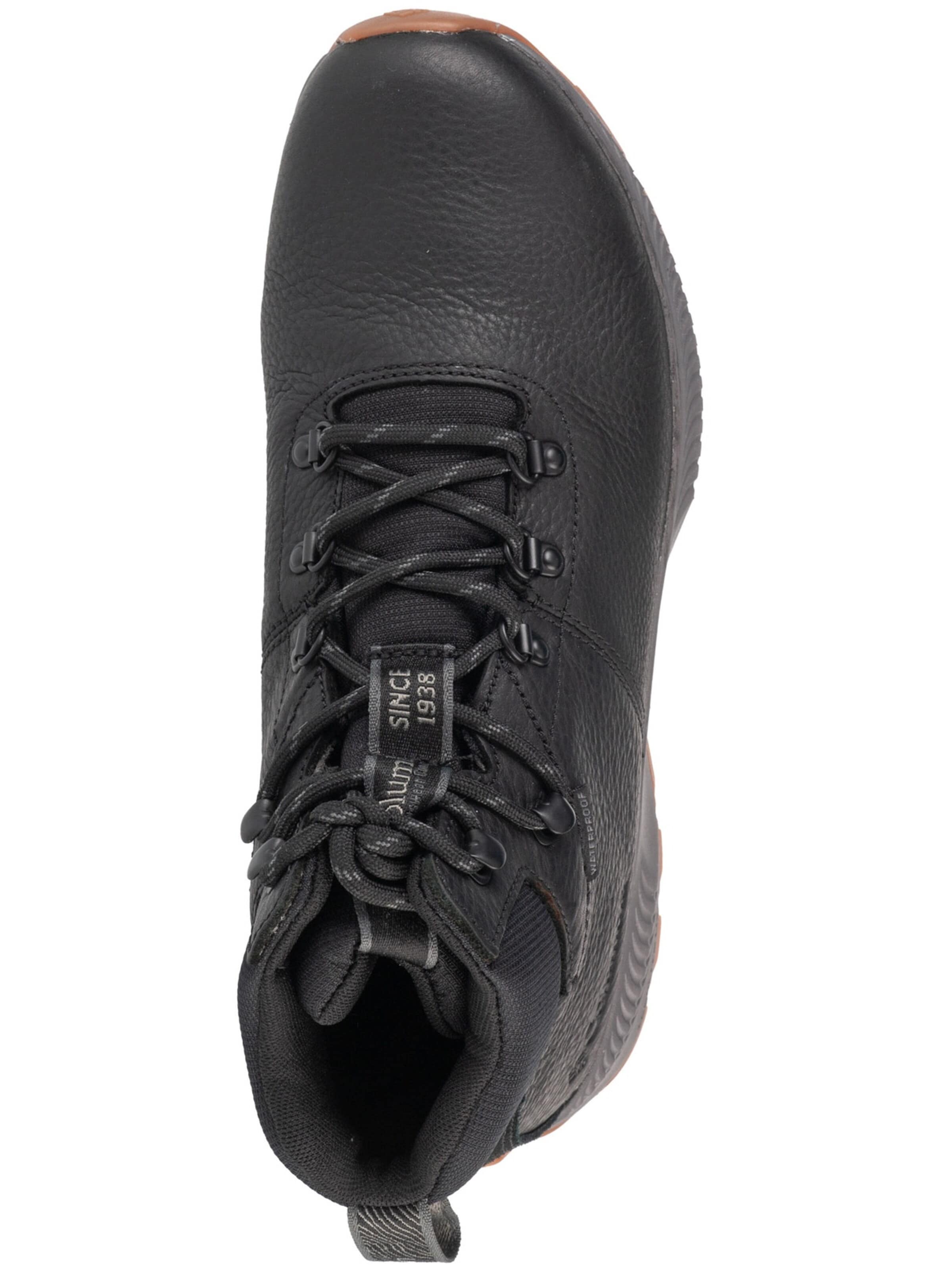 COLUMBIA Boots 'Columbia Landroamer Explorer' in Black