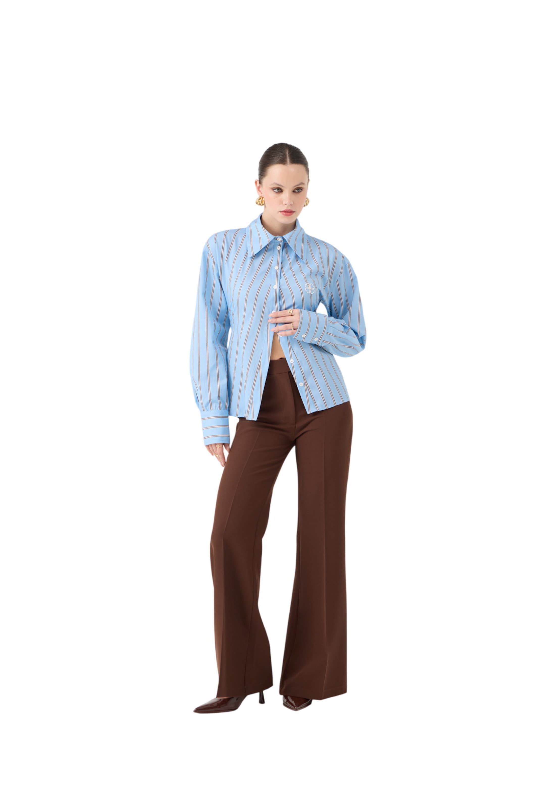 HOLLY LOLLY Flared Pleated Pants in Brown