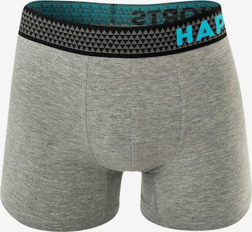 Happy Shorts Boxer shorts in Blue