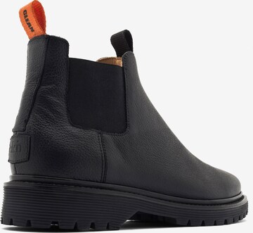 EKN Footwear Chelsea Boots in Black