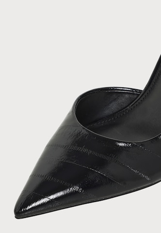 STEVE MADDEN Pumps 'Nula' in Black