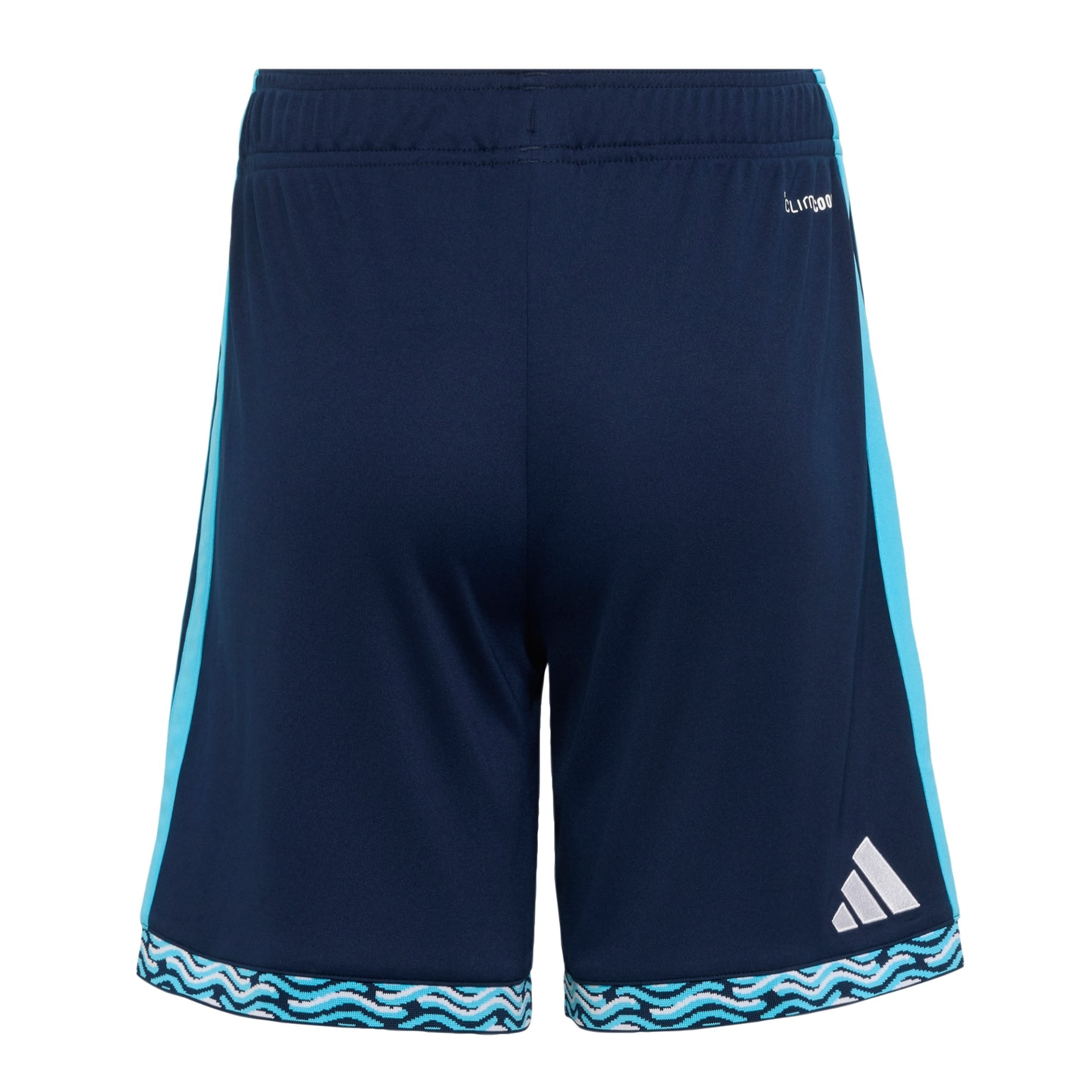 ADIDAS PERFORMANCE - regular Pantalón deportivo 'Paris FC 26/27' en azul