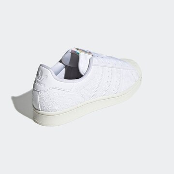 Baskets basses 'Superstar' ADIDAS ORIGINALS en blanc