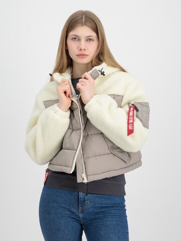 ALPHA INDUSTRIES Zimska jakna | bež barva: sprednja stran