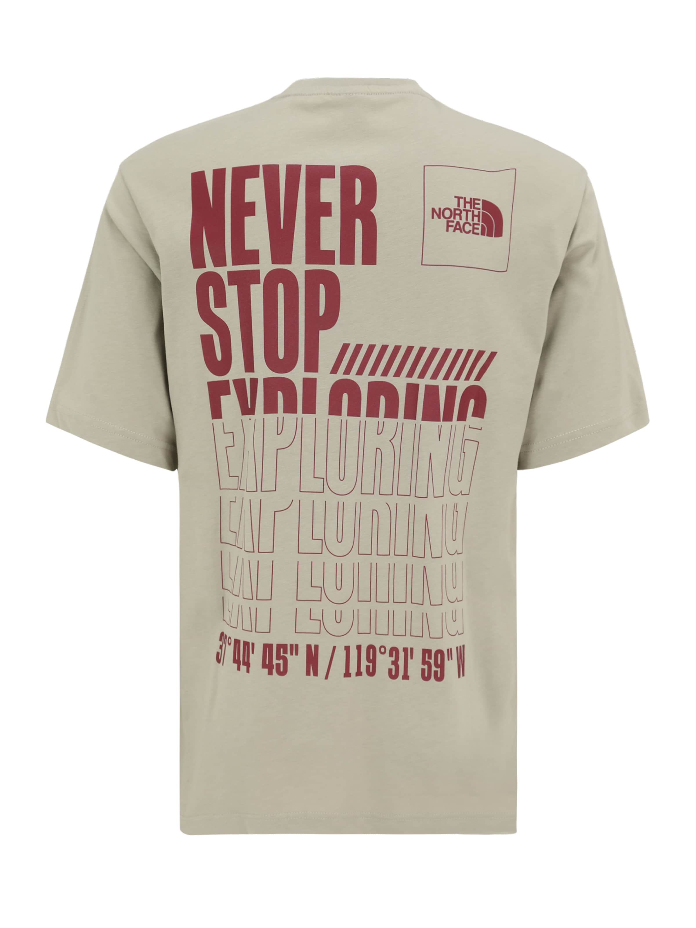 THE NORTH FACE Тениска 'Coordinates' в сиво