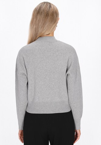 usha BLACK LABEL - Jersey en gris
