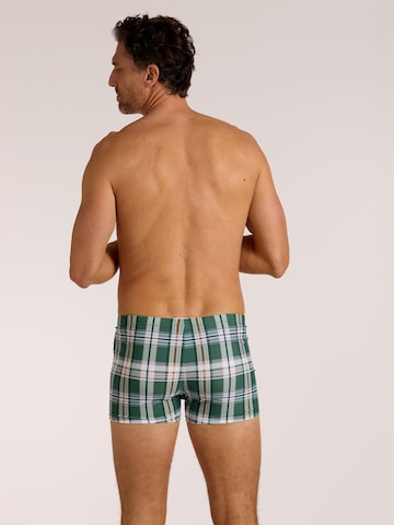 wavebreaker Swim Trunks in Green
