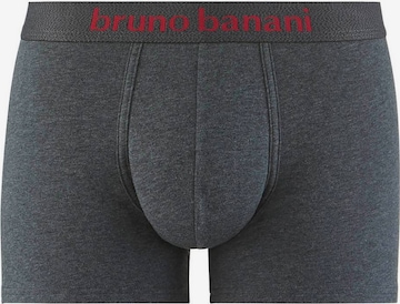 BRUNO BANANI Boxershorts in Grau