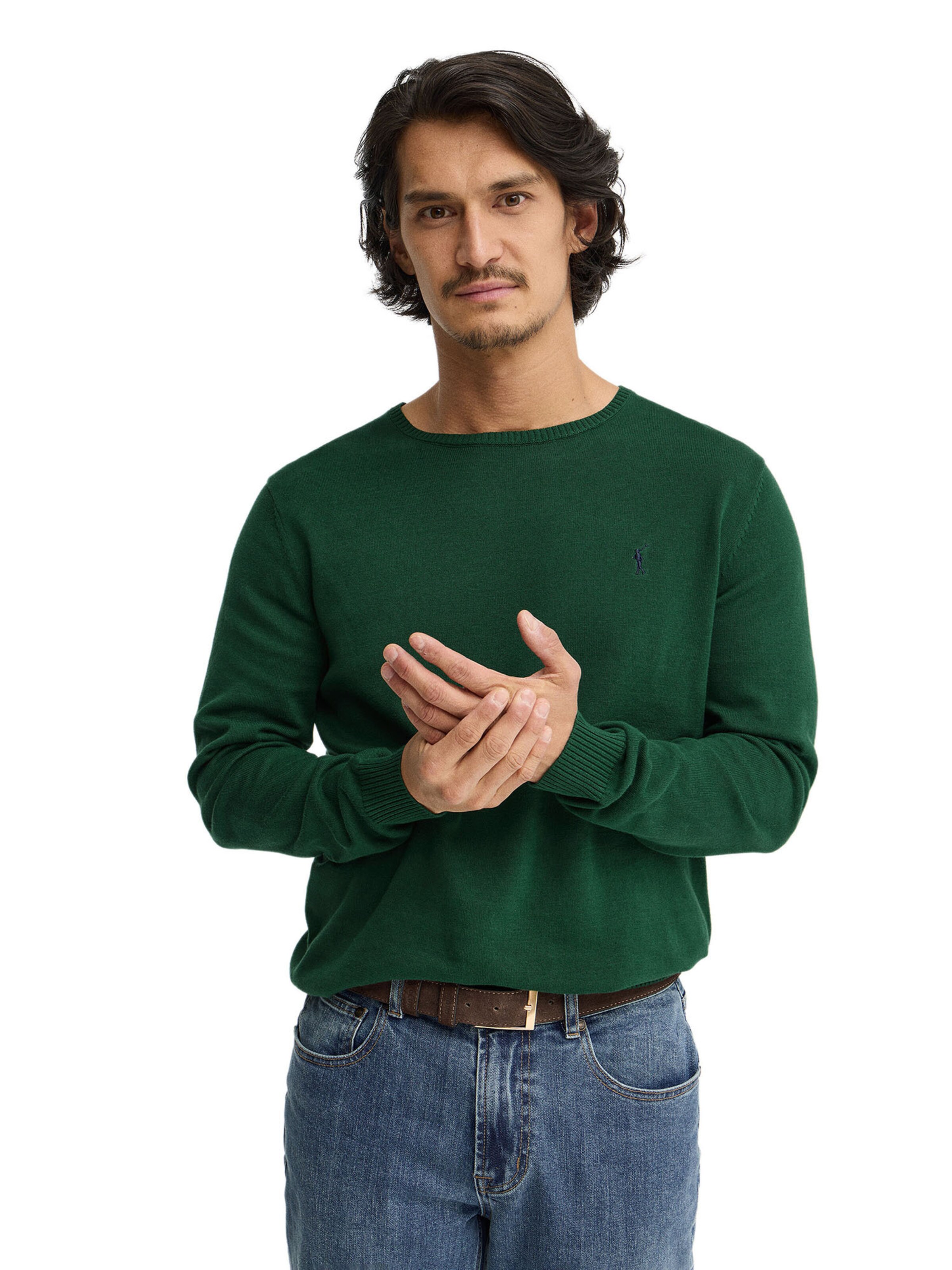 Polo Club Pullover in Grün: Vorderseite