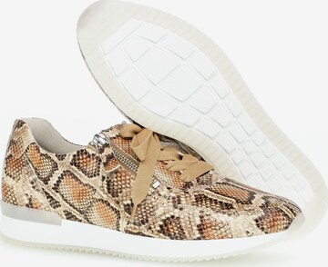 Sneaker bassa di GABOR in marrone