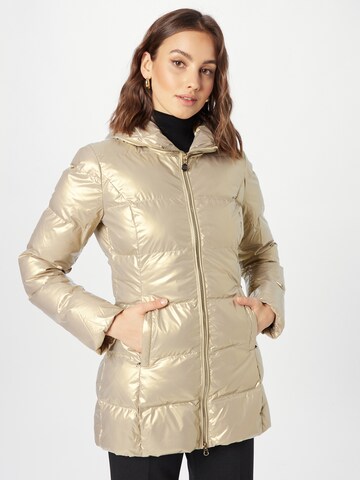 EA7 Emporio Armani Winterjacke in Gold: predná strana