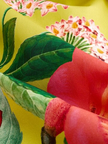 Next Zomerjurk in Geel