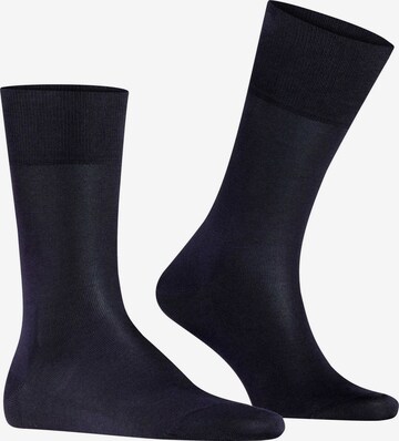 FALKE Socks in Blue