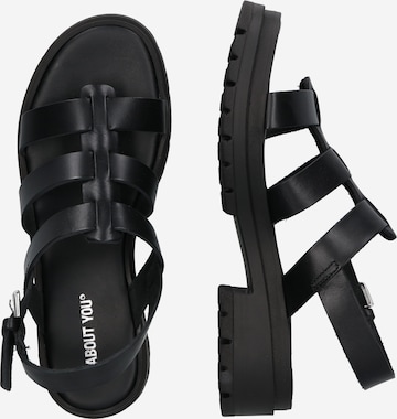 ABOUT YOU Sandals 'Mary' in Black