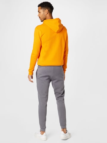 Effilé Pantalon de sport 'Entrada 22' ADIDAS SPORTSWEAR en gris