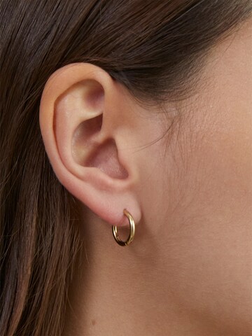 s.Oliver Ohrringe in Gold
