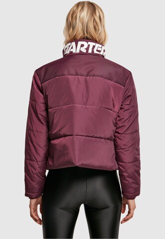 Starter Black Label Jacke in Lila