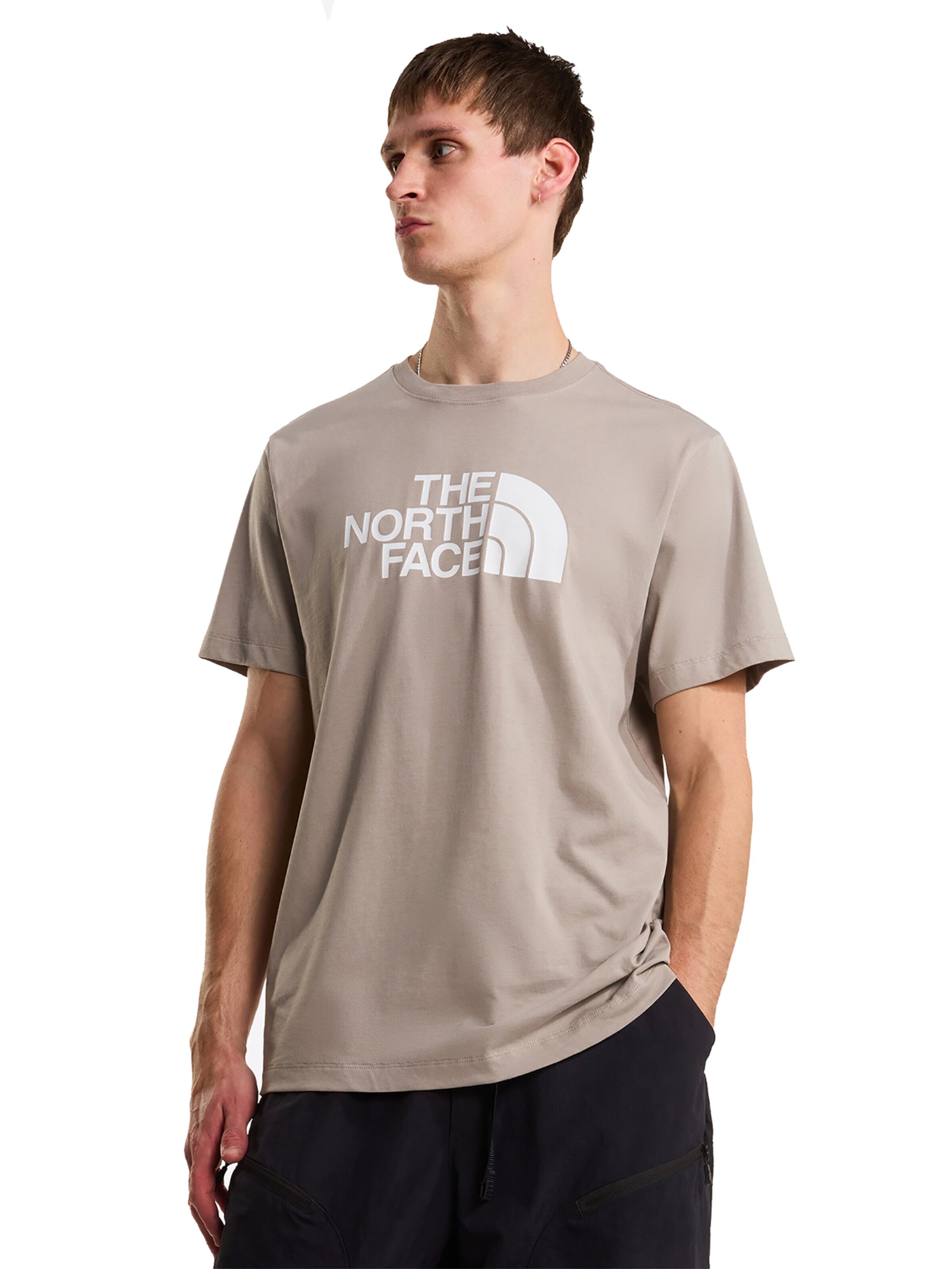 THE NORTH FACE Shirt 'Evolution Half Dome' in Grey: front