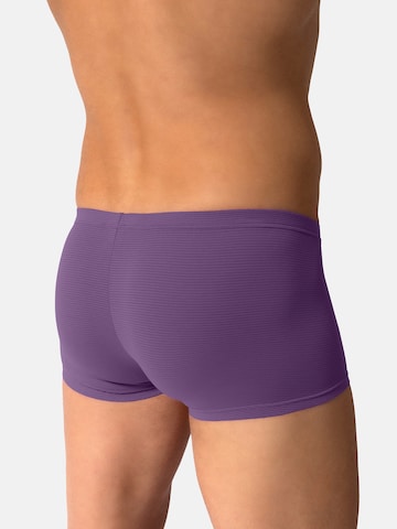Olaf Benz Retro Pants ' RED2600 Minipants ' in Lila