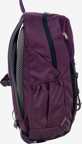 DEUTER Rucksack 'Gogo' in Lila