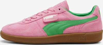 PUMA Baskets basses 'Palermo Special' en or / vert / rose, Vue avec produit