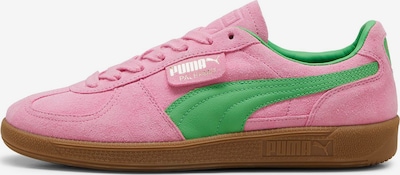 PUMA Sneakers low 'Palermo Special' i gull / grønn / rosa, Produktvisning