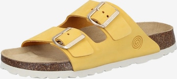 DR. BRINKMANN Mules 'Bonillo' in Yellow: front