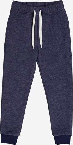 Fred's World by GREEN COTTON Regular Broek '' in Blauw: voorkant