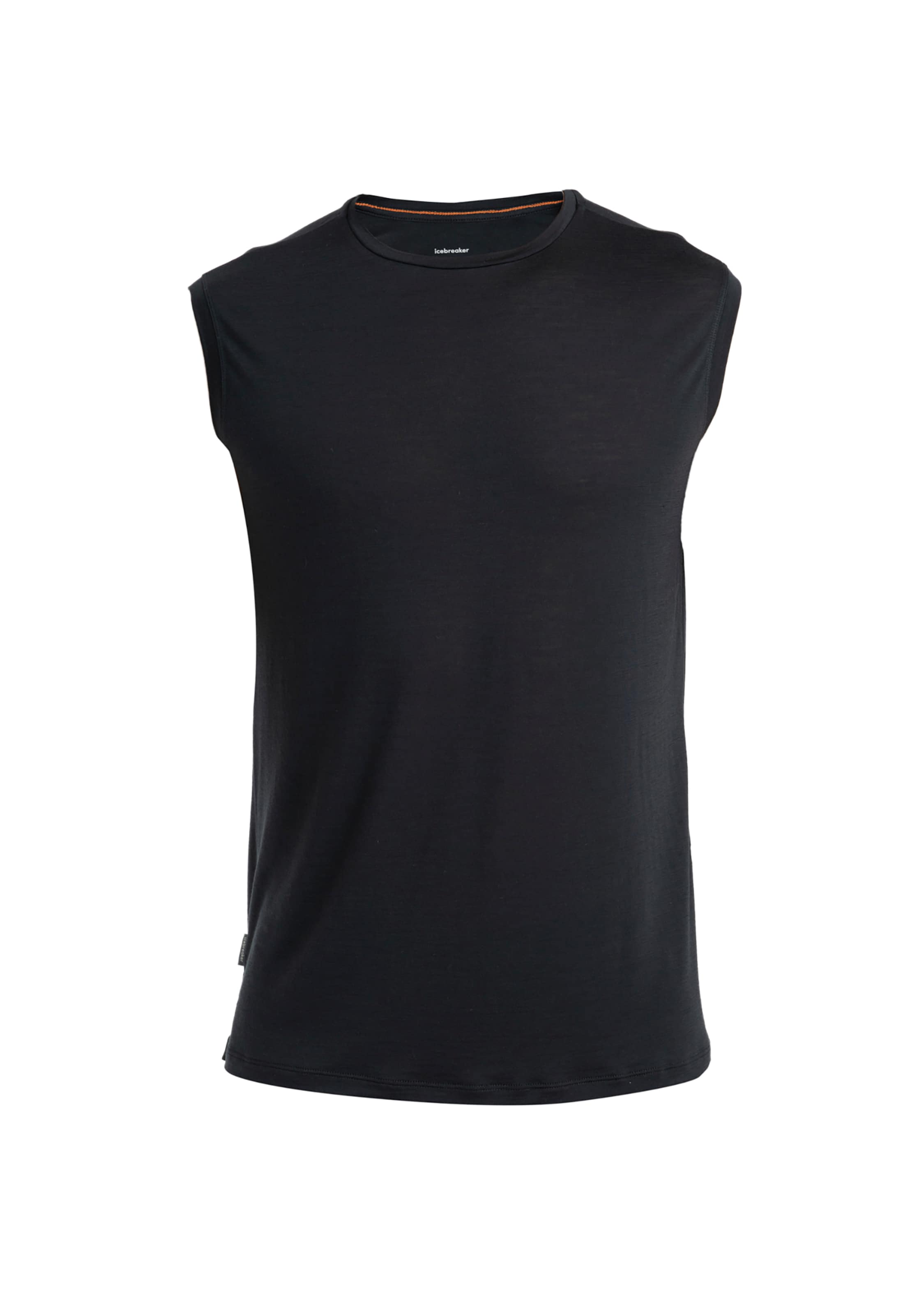 ICEBREAKER Funkčné tričko 'Cool-Lite Sphere III' - čierna, Produkt