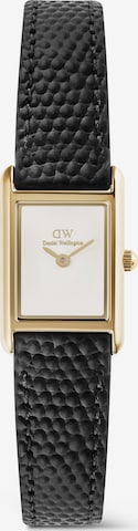 Daniel Wellington Analoguhr in Gold: Vorderseite